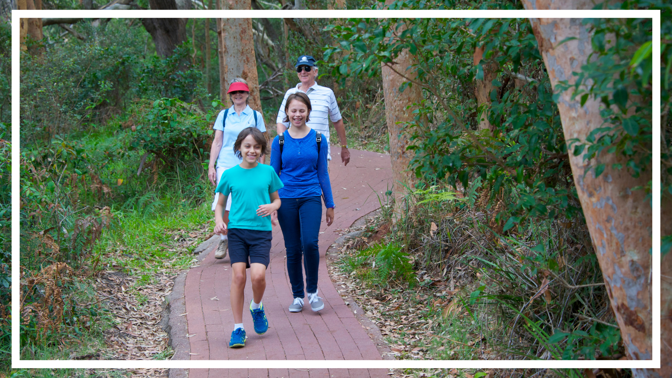 Bushwalking, Tomaree National Park, Port Stephens by Destination NSW