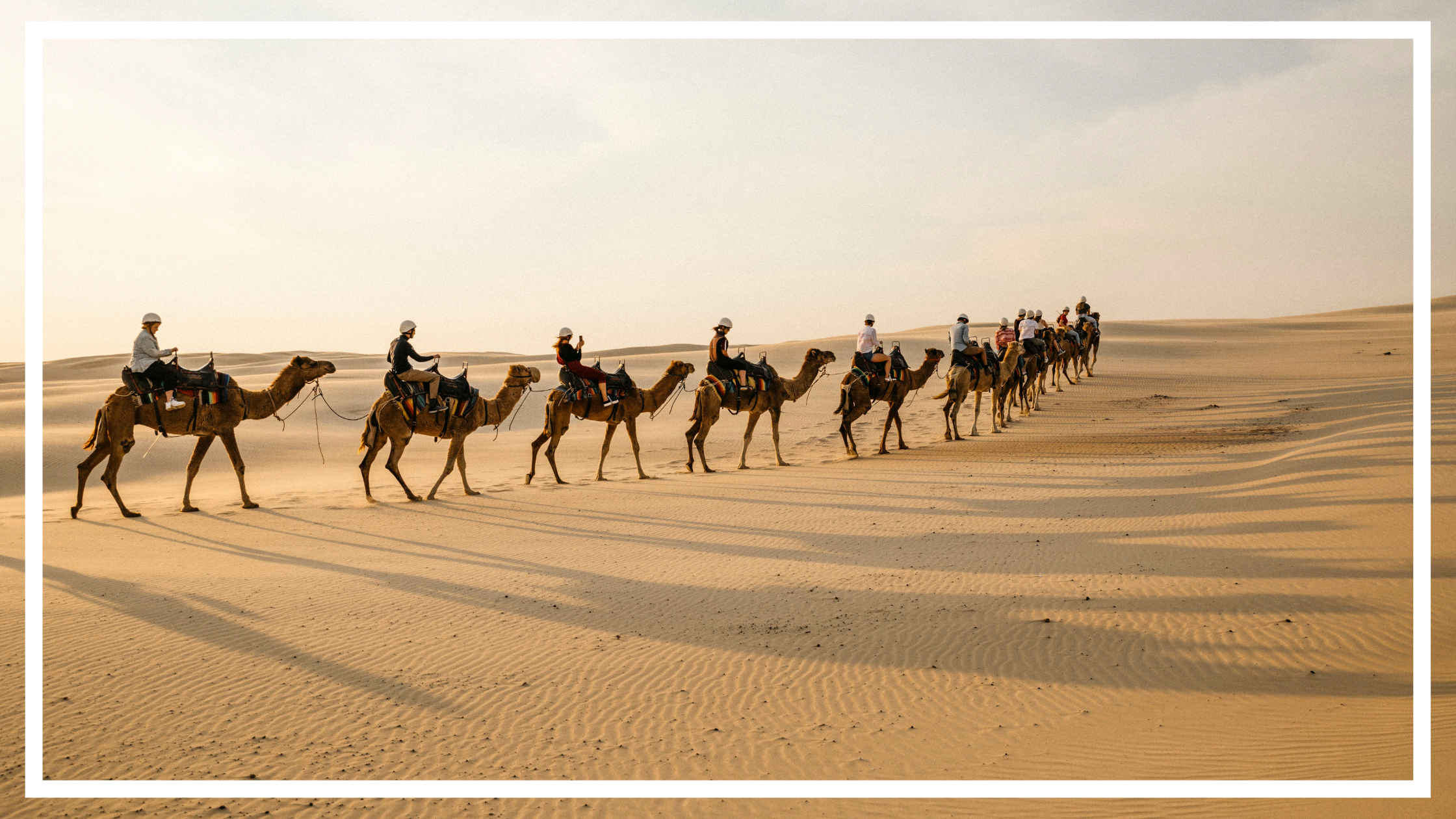 Camel Riding, Port Stephens by Destination NSW