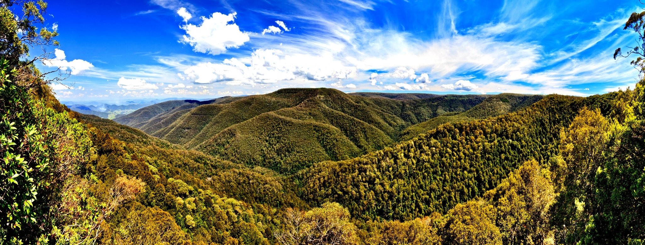View from Devils Hole in the Barrington Tops National Park, New South Wales