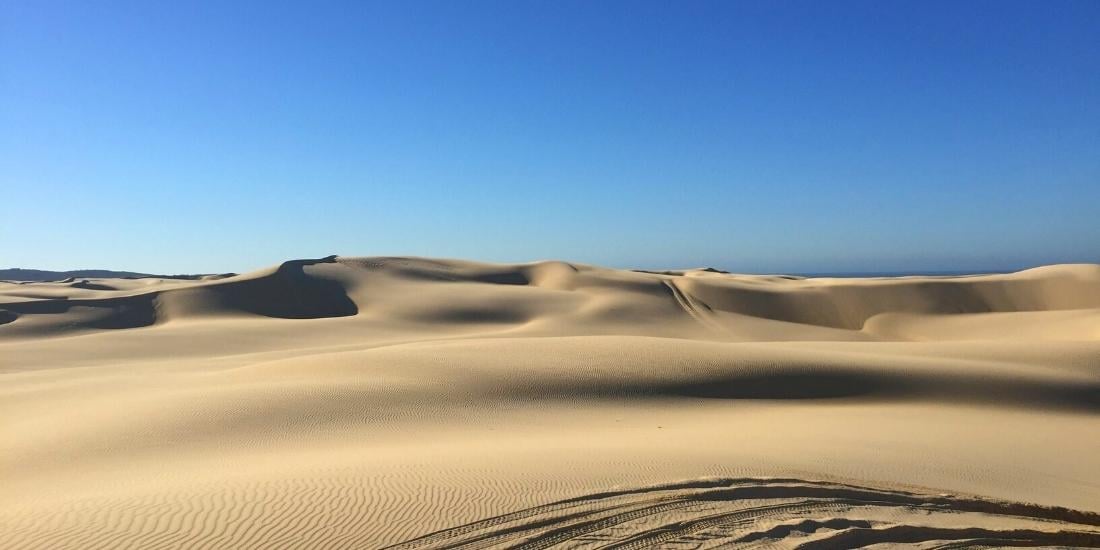 Stockton Sand Dunes, Port Stephens NSW