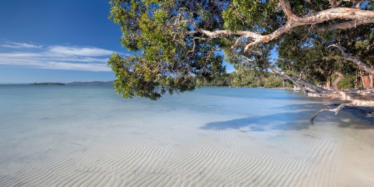 Tilligerry Peninsula Port Stephens NSW