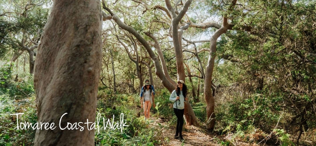 Tomaree Coastal Walk-1