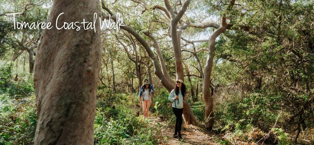 Tomaree Coastal Walk