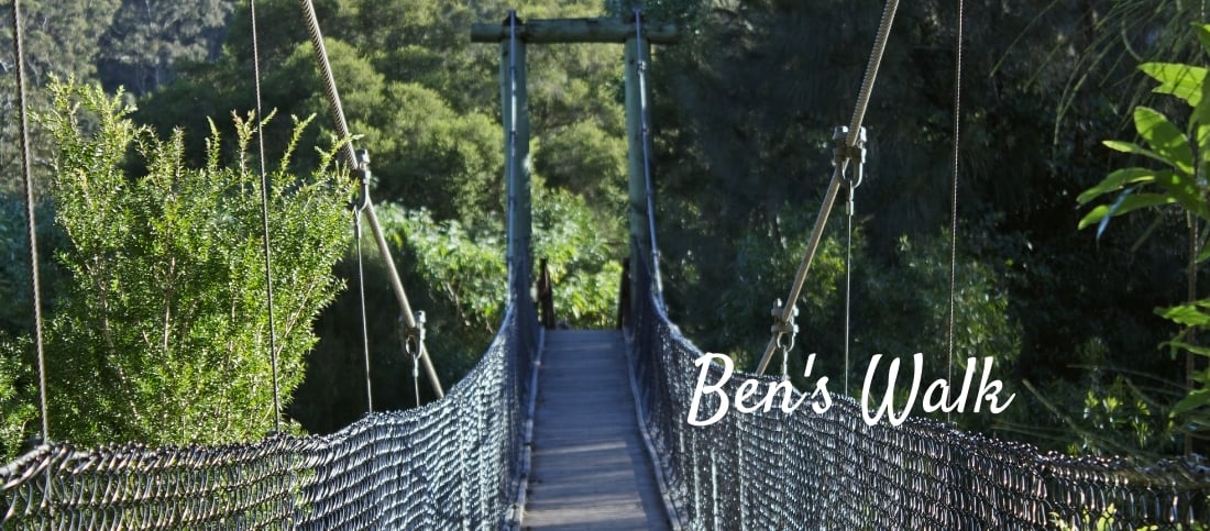 Bens Walk Nowra Shoalhaven NSW