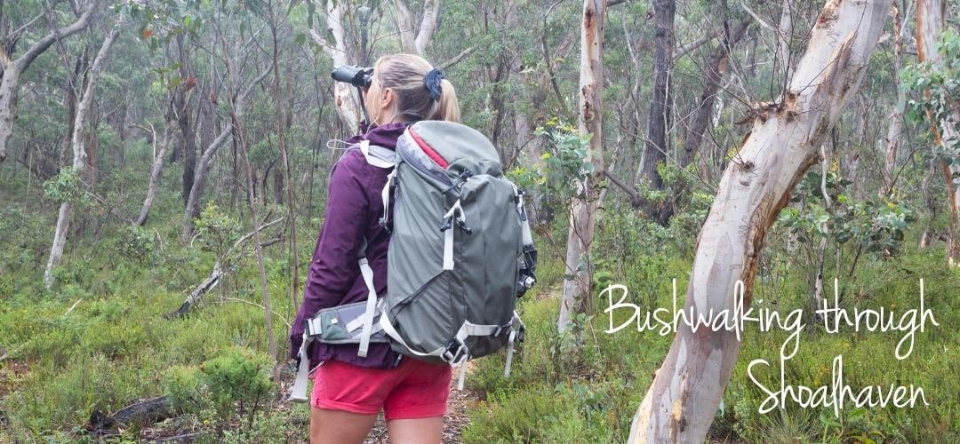 Bushwalking through Shoalhaven - Image taken by Lovleah via Canva