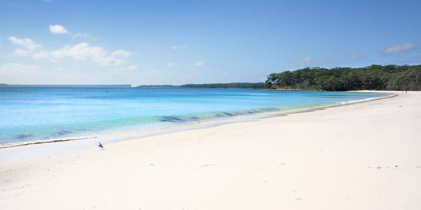 Greenfield Beach, Jervis Bay - Shoalhaven NSW