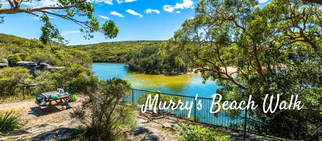 Munyunga Waraga Dhugan Walking Trail (Murrys Beach Walk), Jervis Bay Shoalhaven NSW