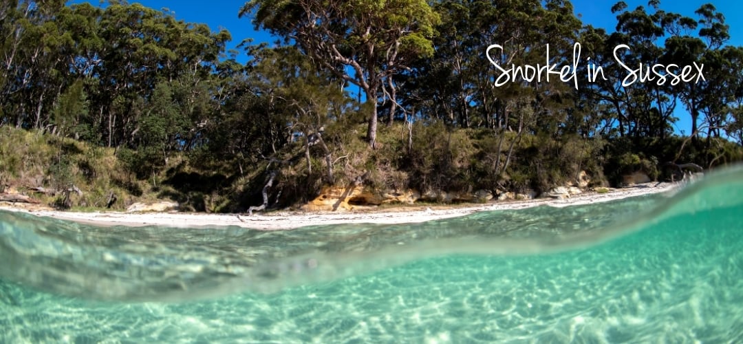 Snorkel in Sussex Inlet, NSW South Coast Australia