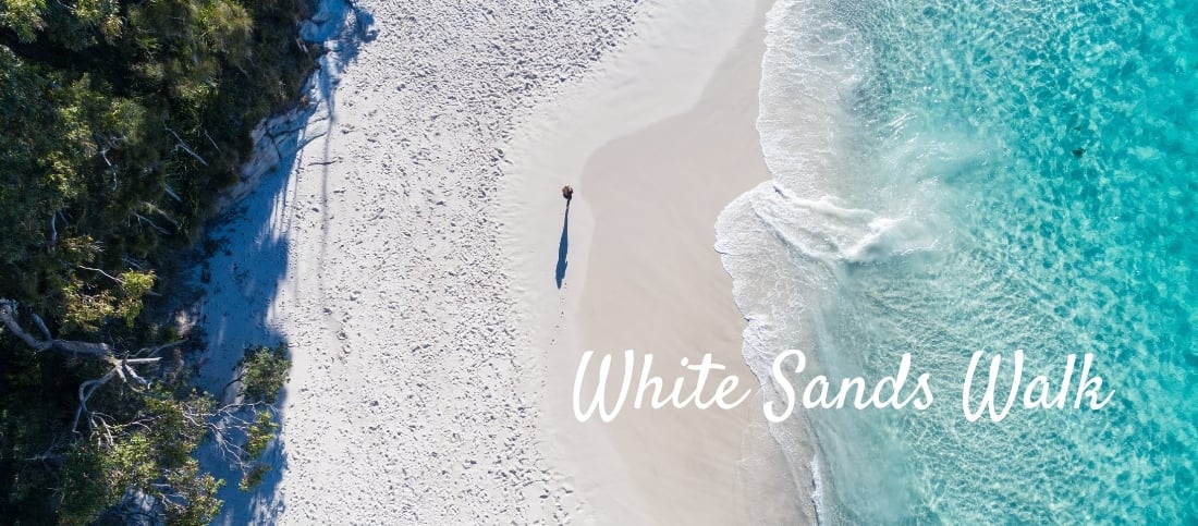 White Sands Walk and Scribly Gum Track Jervis Bay Shoalhaven NSW