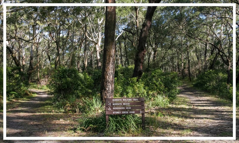 Bushwalking Booderee National Park, Jervis Bay, NSW, Australia 