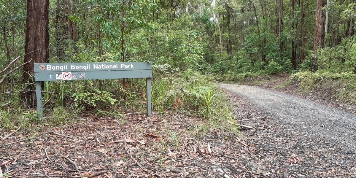 Bongil Bongil National Park - Repton, NSW-1