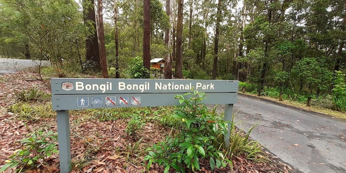Bongil Bongil National Park- Repton, NSW