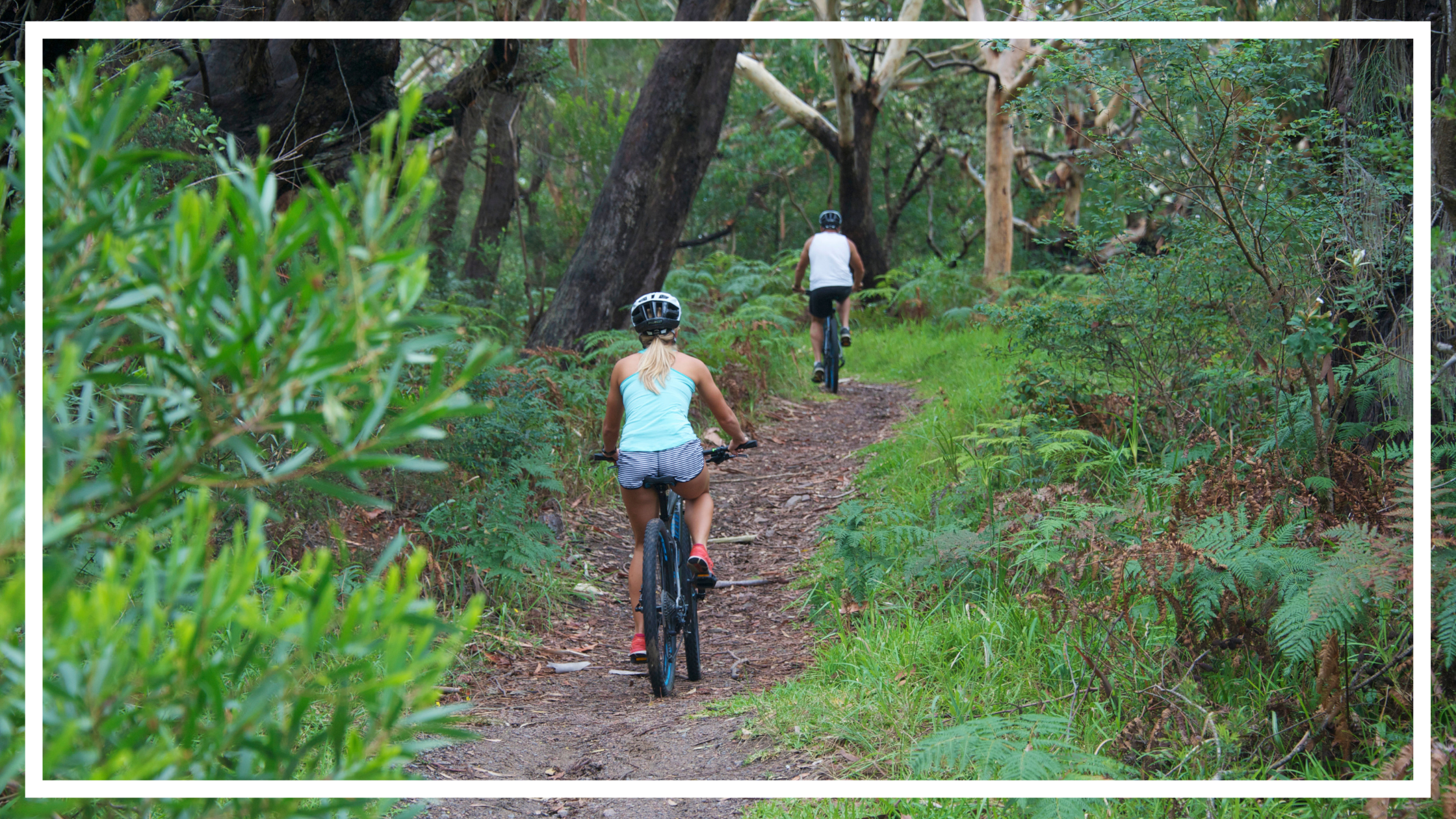 Cycling, Tomaree National Park, Port Stephens by Destination NSW