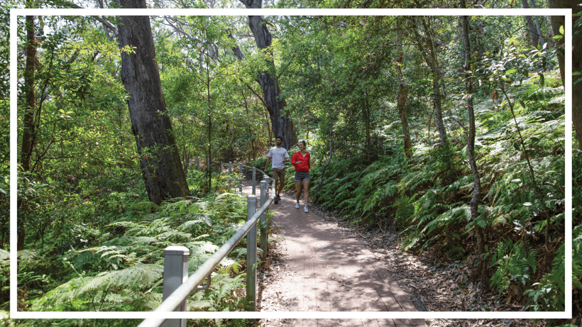 Tomaree Summit Walk, Port Stephens by Destination NSW