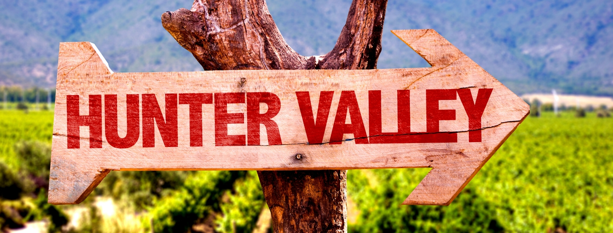 The Hunter Valley region, New South Wales