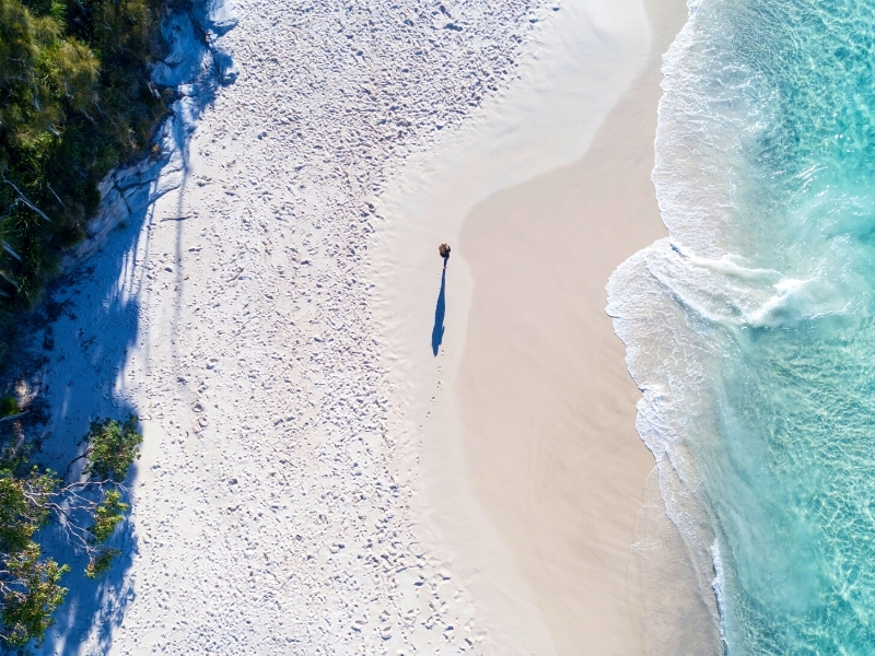 Walk the white sand of Jervis Bay's famous White Sand Coast